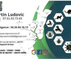 MPRO SERVICE